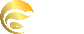 风华创智